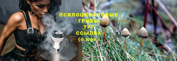 стаф Остров