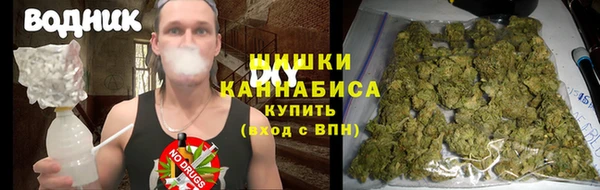 трава Осташков