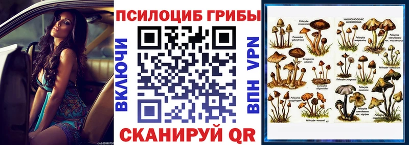 Псилоцибиновые грибы MAGIC MUSHROOMS  Ртищево 